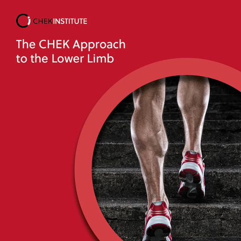 The CHEK Approach to the Lower Limb