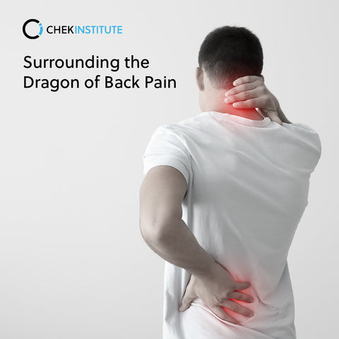 Surrounding the Dragon of Back Pain